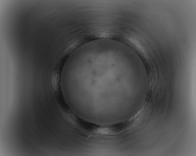 X0000094460171200711081332