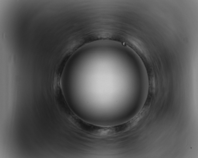 X0000094460172200711081332