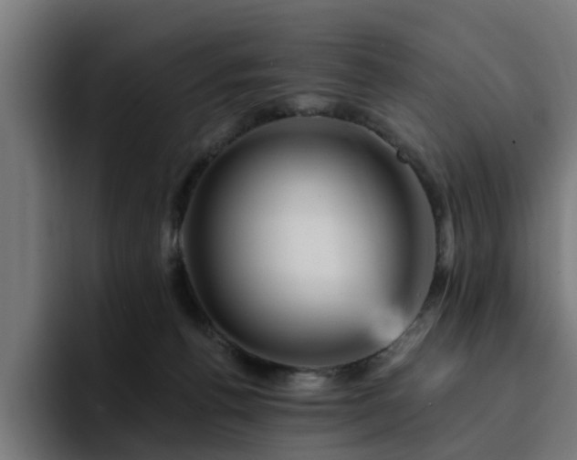 X0000094460176200711081332