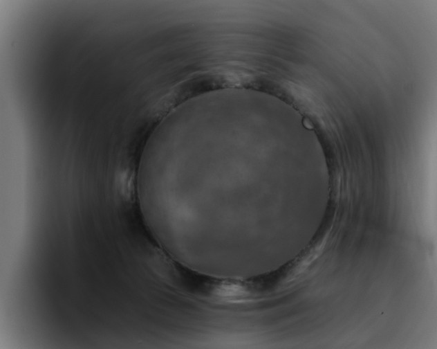 X0000094460177200711081332