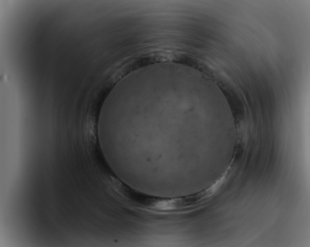 X0000094460178200711081332