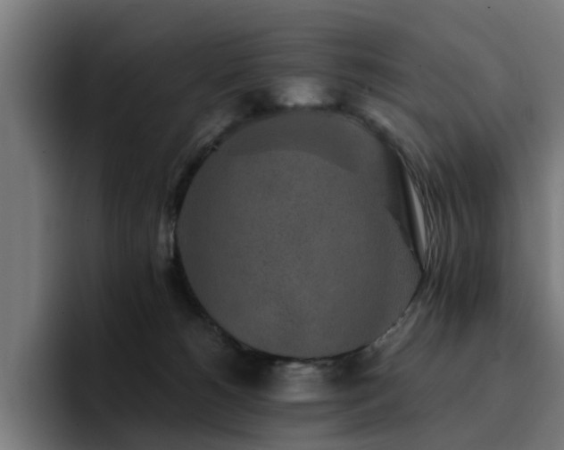 X0000094460180200711081332