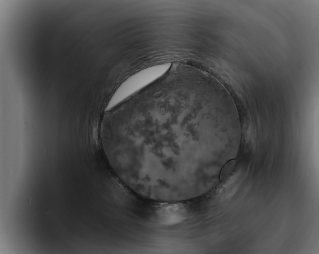 X0000094460185200711081333