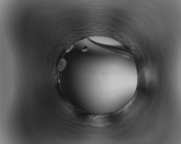 X0000094460186200711081333