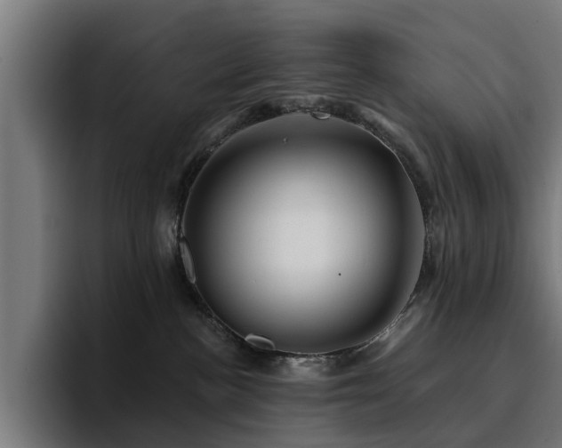 X0000094460188200711081333