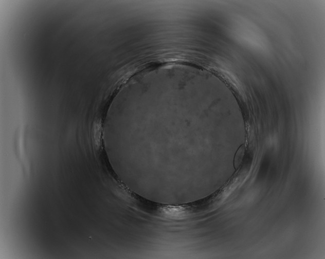 X0000094460189200711081333
