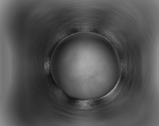 X0000094460190200711081333