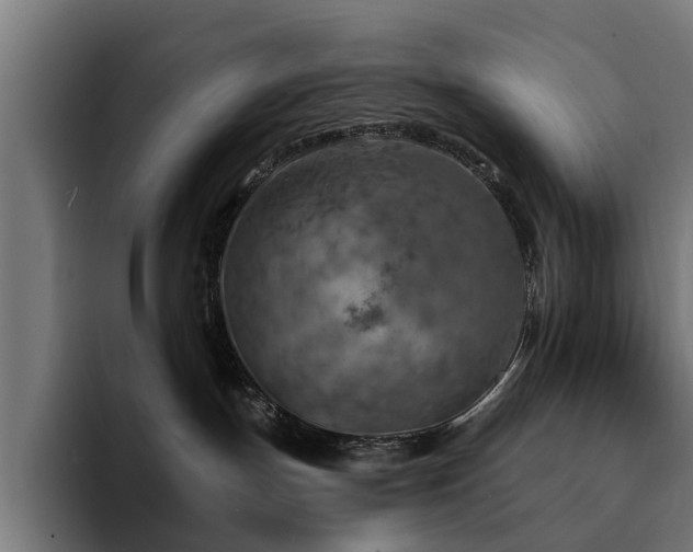X0000094460191200711081333