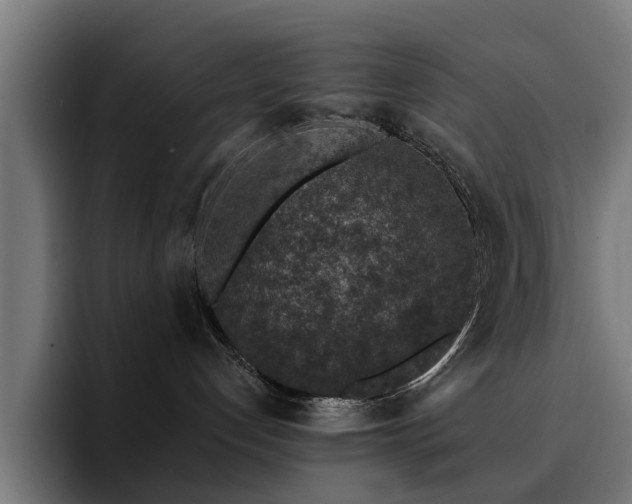 X0000094460192200711081333