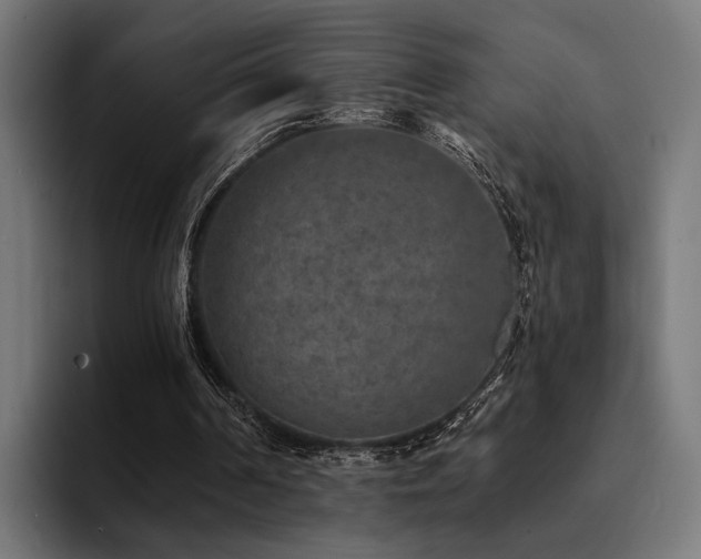 X0000094460194200711081332