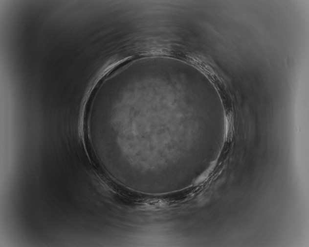 X0000094460195200711081332