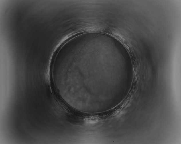 X0000094460196200711081332