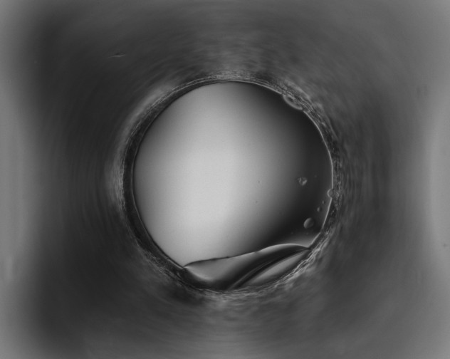 X0000094460197200711081332