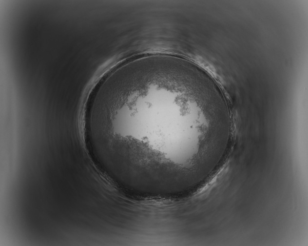 X0000094460199200711081332