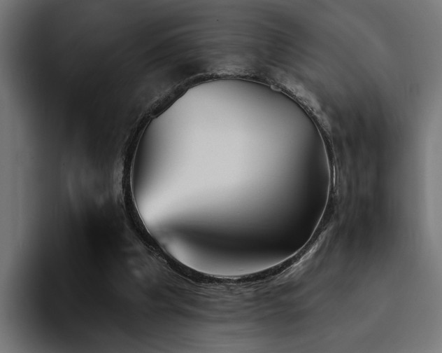 X0000094460201200711081332