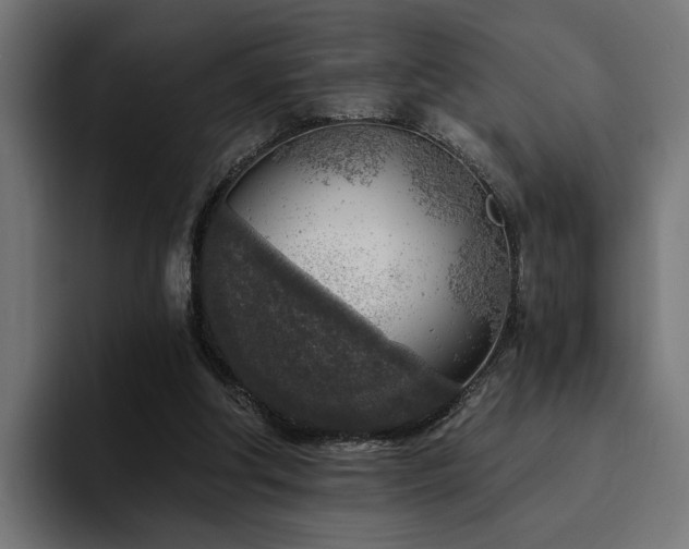 X0000094460202200711081332