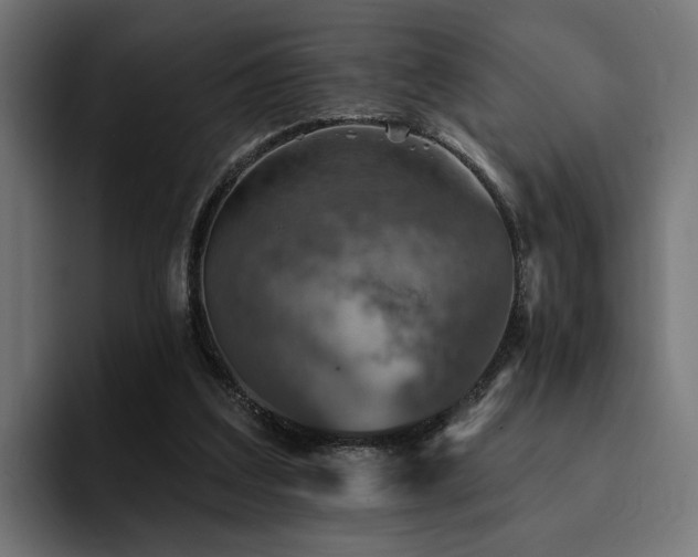 X0000094460203200711081332