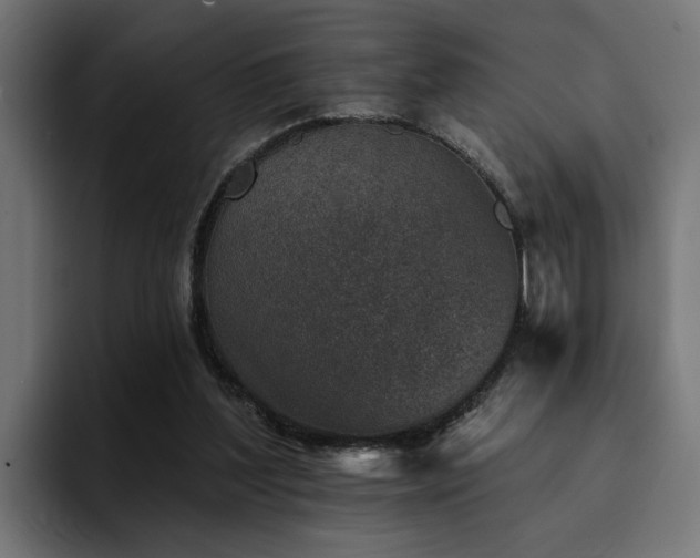 X0000094460204200711081332