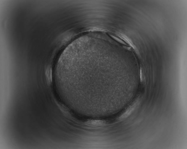 X0000094460205200711081332
