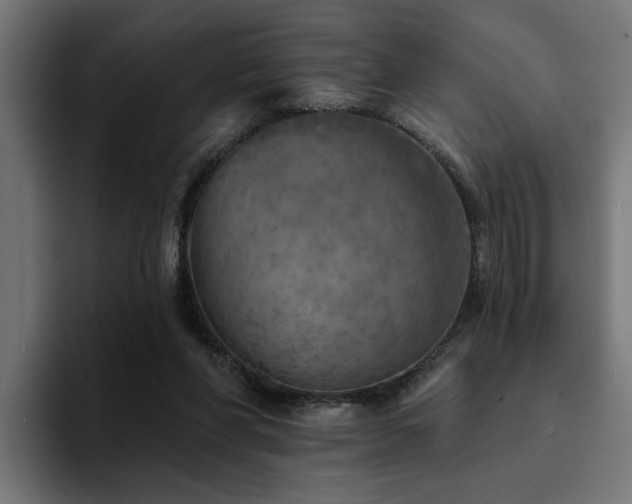 X0000094460206200711081332