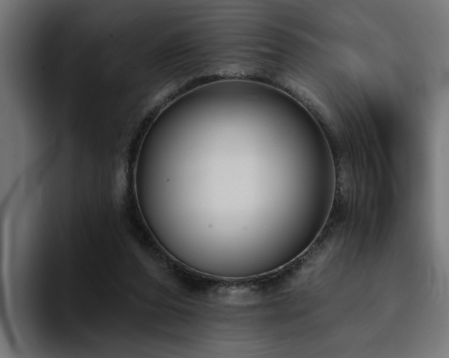 X0000094460208200711081332