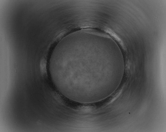 X0000094460209200711081332