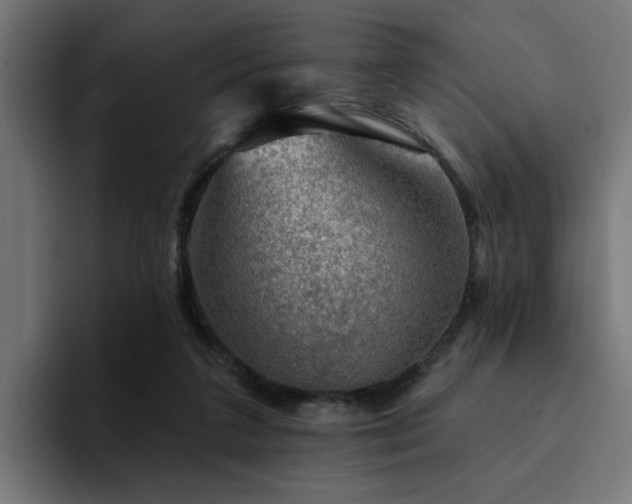 X0000094460211200711081332