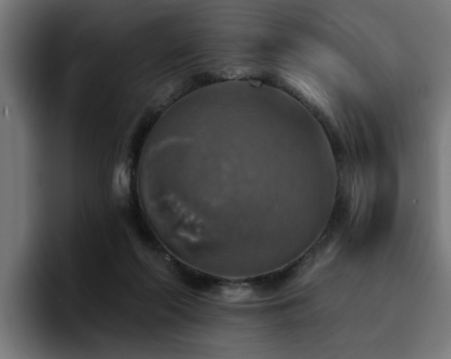 X0000094460214200711081332