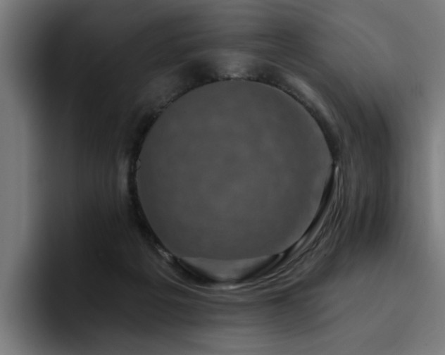 X0000094460217200711081332