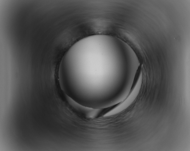 X0000094460221200711081332