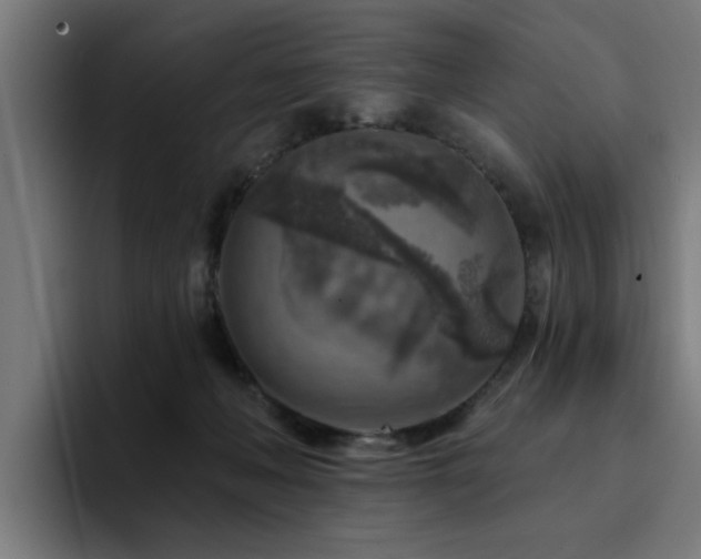 X0000094460222200711081332