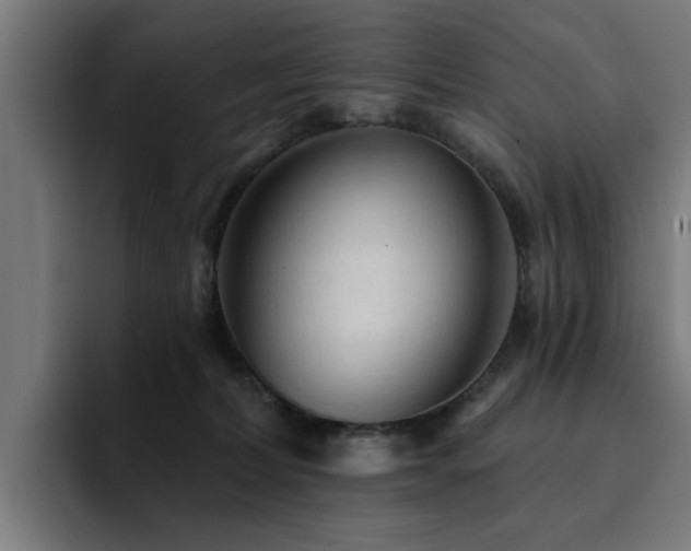 X0000094460228200711081332