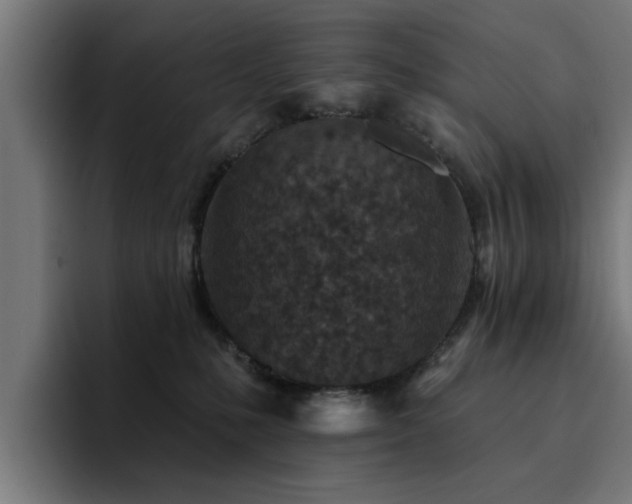 X0000094460231200711081331