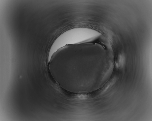 X0000094460233200711081331