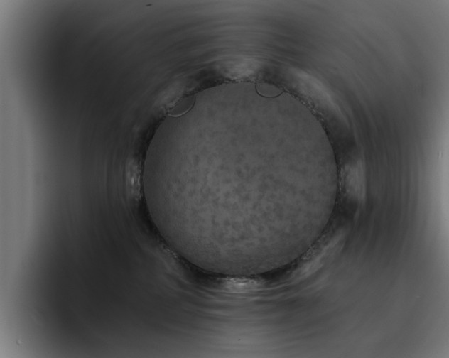 X0000094460234200711081331