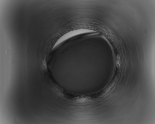 X0000094460235200711081331