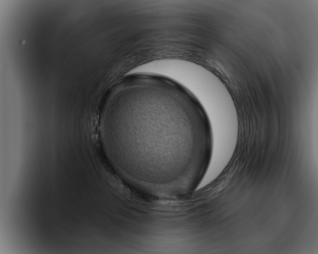 X0000094460237200711081331