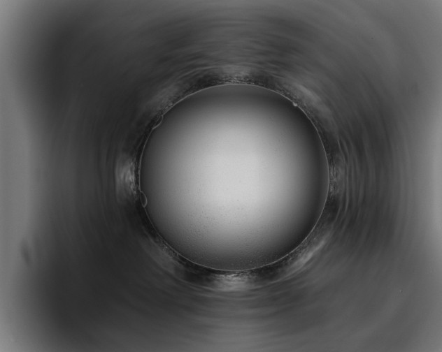 X0000094460238200711081331