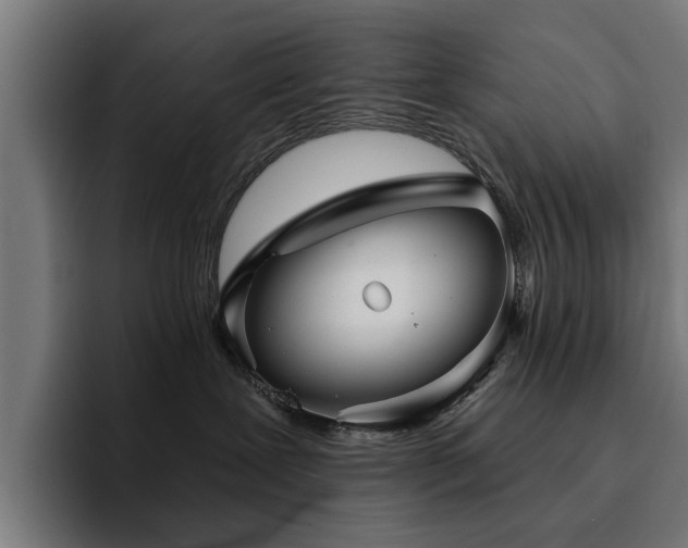 X0000094460239200711081331