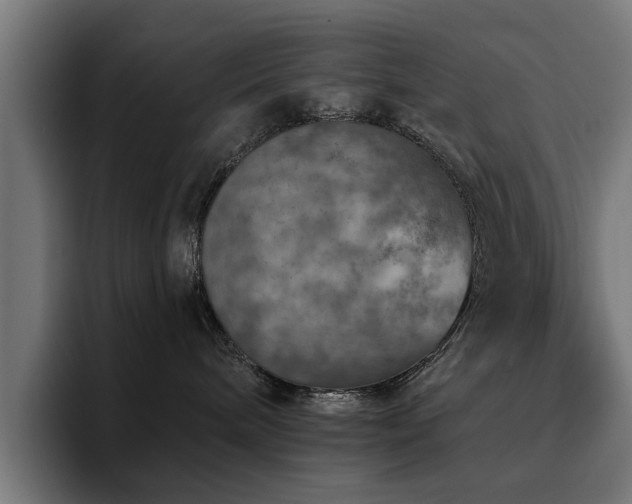 X0000094460240200711081331