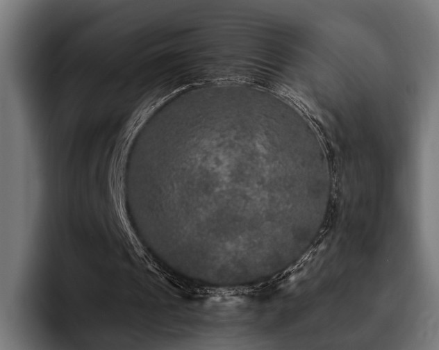 X0000094460241200711081331