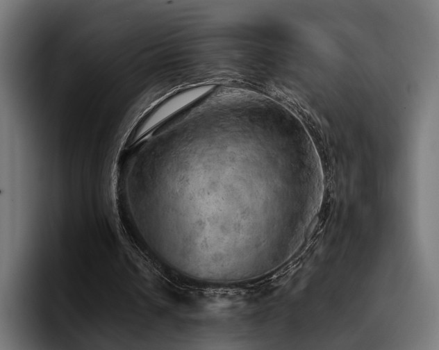 X0000094460242200711081331