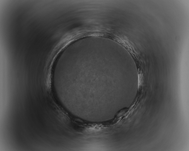 X0000094460243200711081331