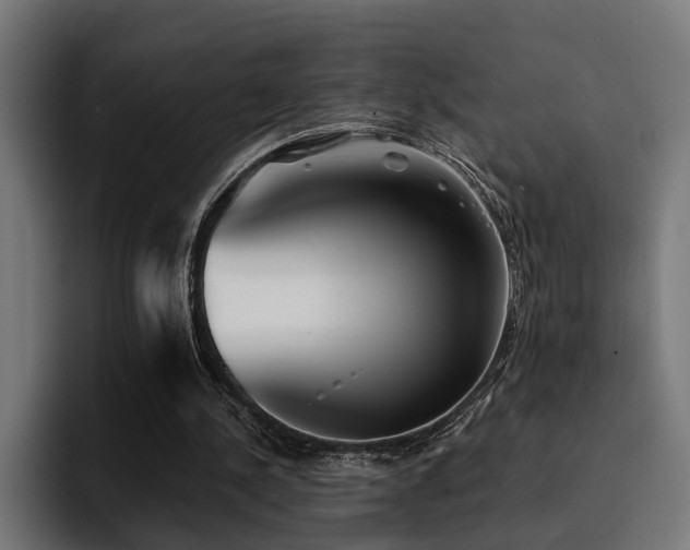 X0000094460244200711081331