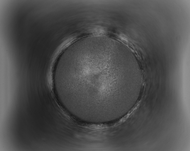 X0000094460245200711081331