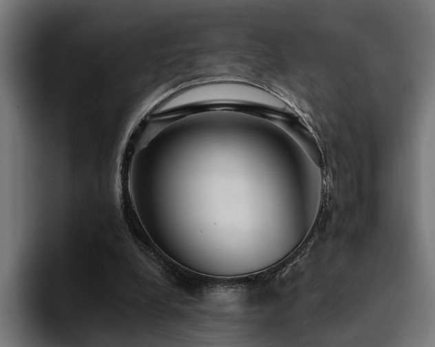 X0000094460248200711081331