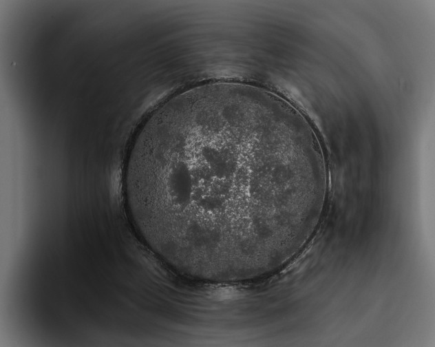 X0000094460249200711081331