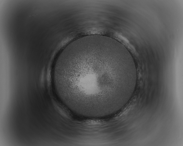 X0000094460250200711081331