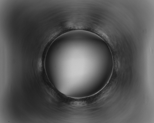 X0000094460251200711081331