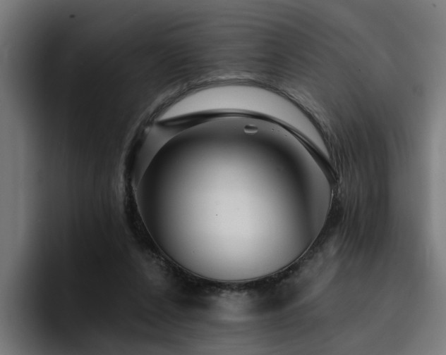 X0000094460256200711081331